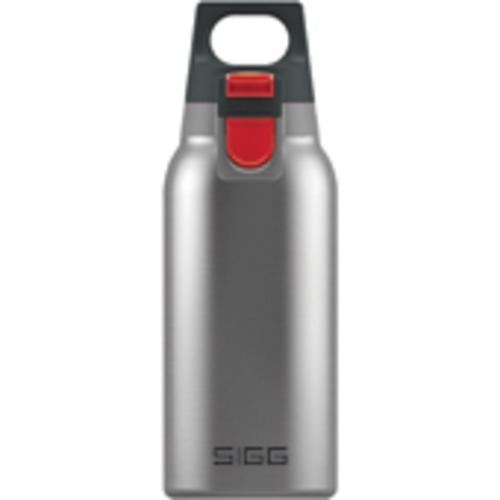 Sigg Thermo Trinkflasche One Brushed Hot&Cold 0.3Liter '19 8581.70